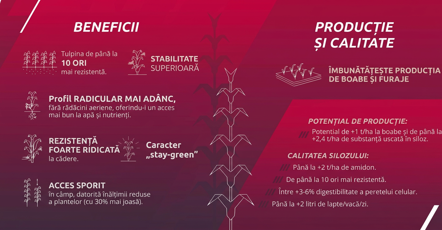 Preceon beneficii.png